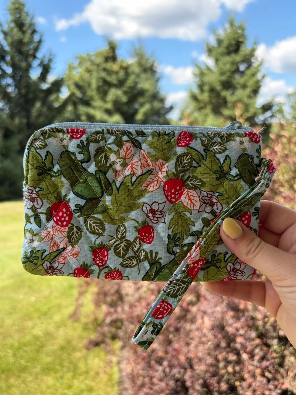 Vera Bradley frog berry zippered pouch cosmetic zip bag wallet NWOT